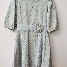 שמלת אלינור מנטה